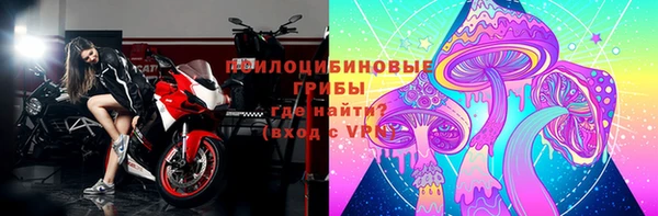 винт Армянск